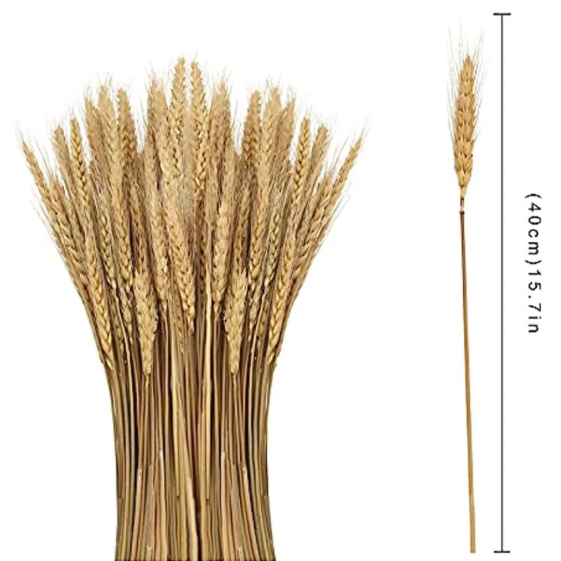 Dried Flowers Wheat Bouquet Natural Decor