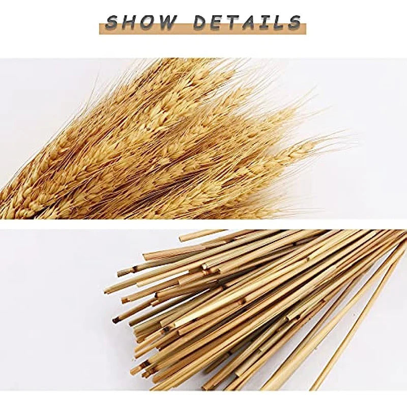 Dried Flowers Wheat Bouquet Natural Decor