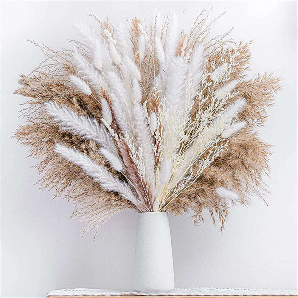 Boho Phragmites Dried Flowers Bouquet: Pampa Grass