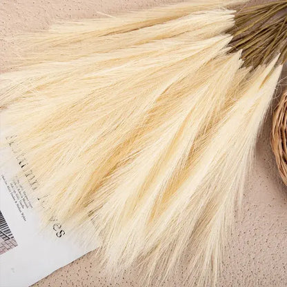 5 Soft Pampa Boho Chic Decor