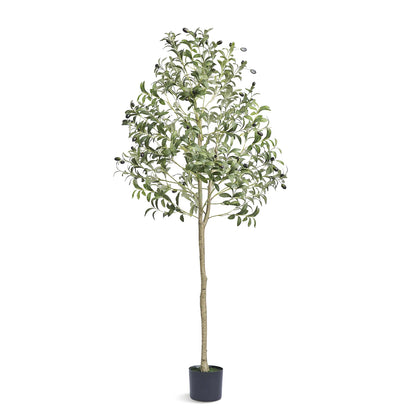Secure Artificial Olive Tree 4/5/6 FT Tall