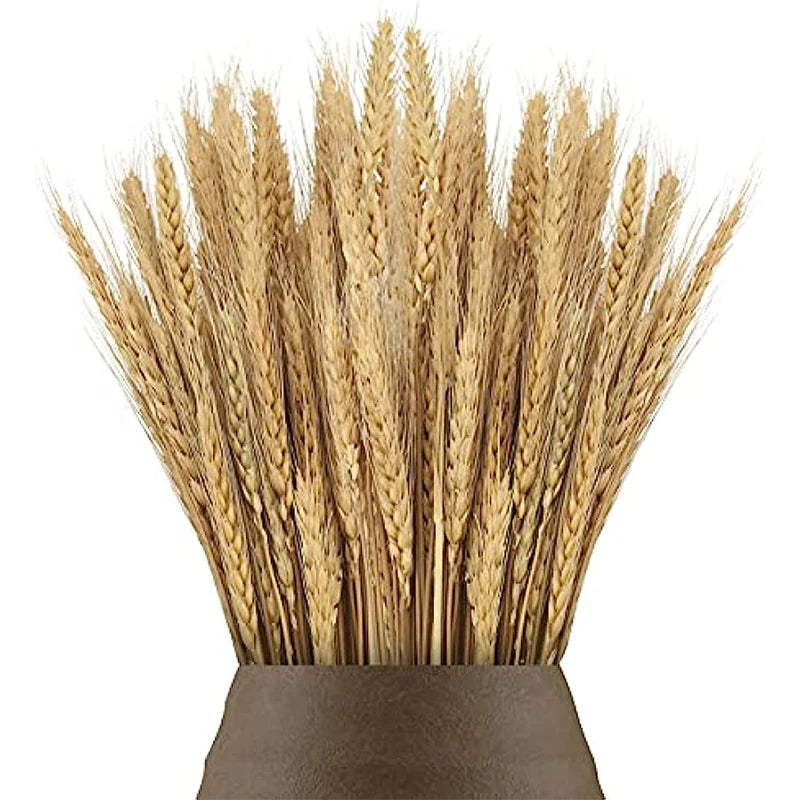 Dried Flowers Wheat Bouquet Natural Decor