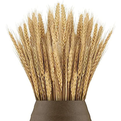 Dried Flowers Wheat Bouquet Natural Decor