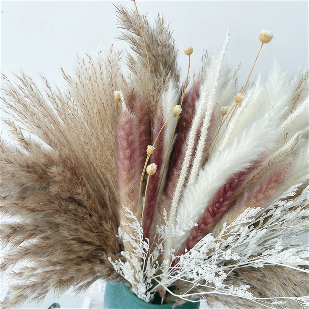 Boho Phragmites Dried Flowers Bouquet: Pampa Grass