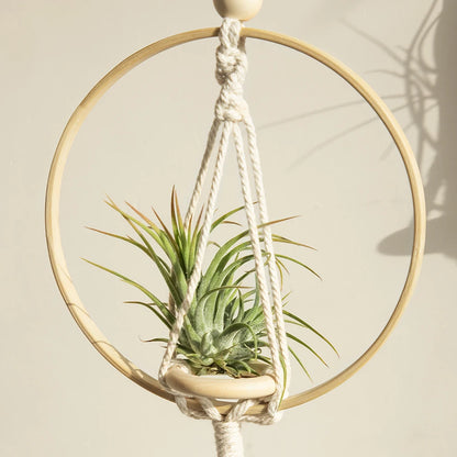 Boho Macrame Air Hanging Planter Holder