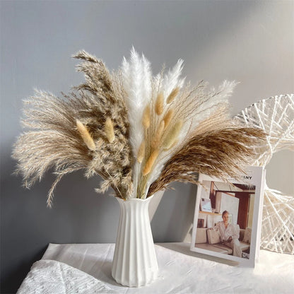 Boho Phragmites Dried Flowers Bouquet: Pampa Grass