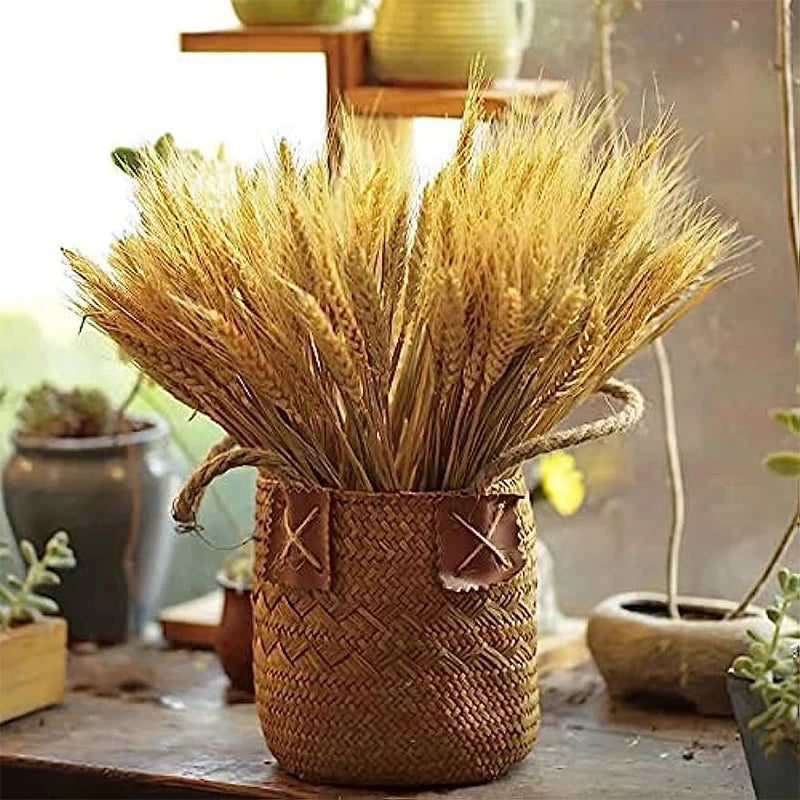 Dried Flowers Wheat Bouquet Natural Decor