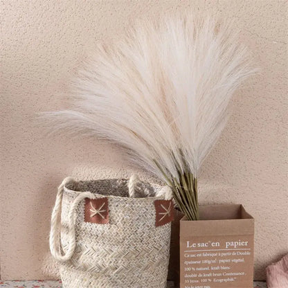 5 Soft Pampa Boho Chic Decor
