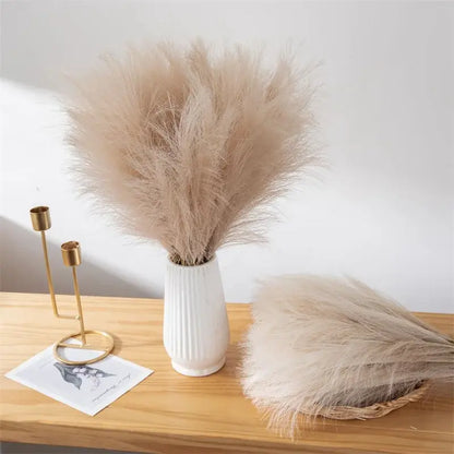 5 Soft Pampa Boho Chic Decor